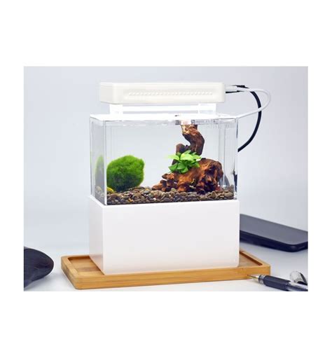 Cunzo Mini Aquarium Acrylic Glass For Saltwater And Freshwater