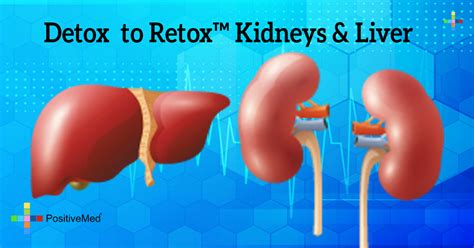 Detox To Retox™ Kidneys And Liver
