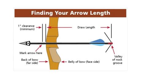 How To Measure Arrow Length For A Compound Bow How To Determine