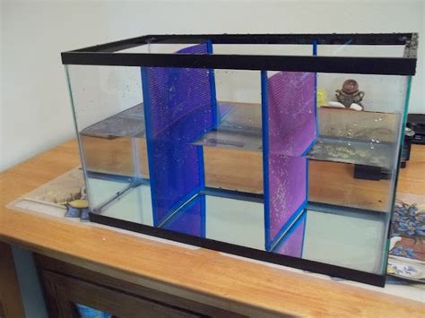How to make tank divider. Voice 4 Bettas: DIY Aquarium Dividers