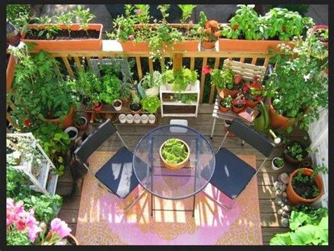 Aprender a cómo hacer una maceta para plantar tus plantas de tomate en botella en botellas de plástico, es un proyecto sencillo. Balcones con muchas plantas | Jardín de balcón pequeño, Jardinería para apartamento, Balcones ...