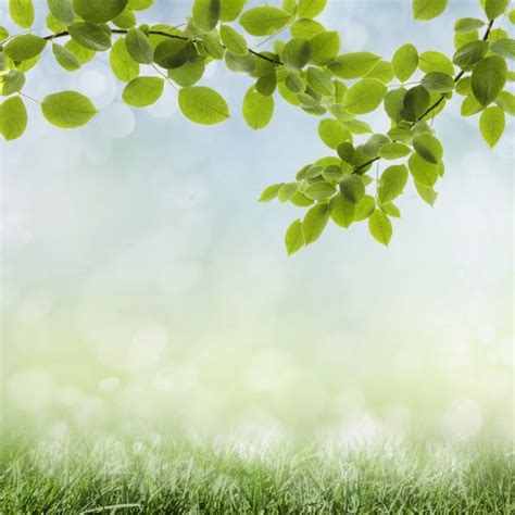 Natural Green Background — Stock Photo © Krivosheevv 18706163