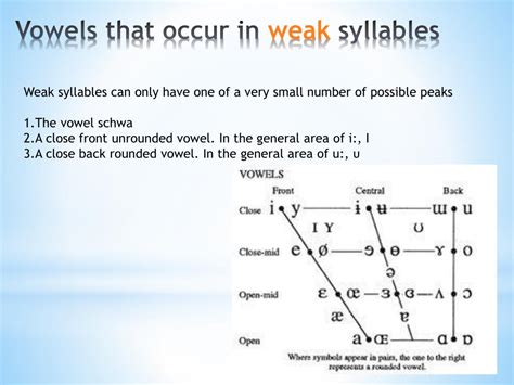 Ppt Chapter 9 Strong And Weak Syllables Powerpoint Presentation Free