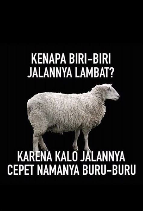 Apa perbedaan antara sarung dan kotak? Tebak Tebakan Hewan Lucu Dan Jawabannya - Gambar Ngetrend ...
