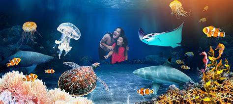 Plan Your Visit Sea Life Brighton Aquarium