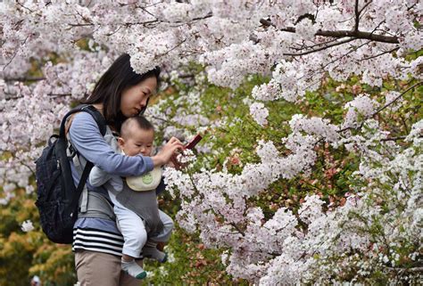 Una Japonesa Disfruta Con Su Hijo Del Olor Y El Internacional El