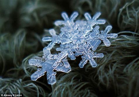 Incredible Close Up Pictures Of Snowflakes Taken On A Photographers