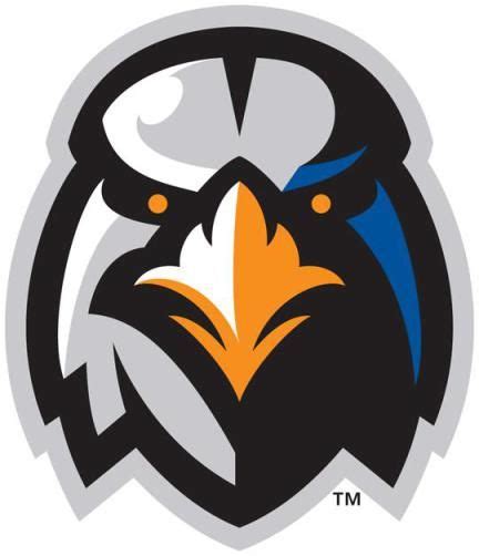 43 Best Bird Sports Team Logos Ideas Sports Team Logos Sports Logo