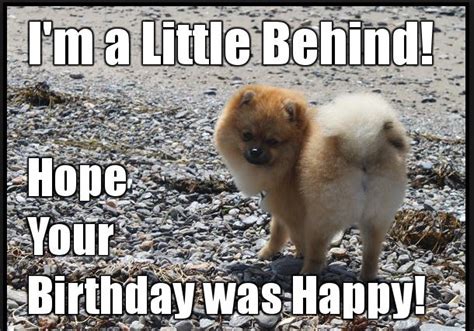 Happy Belated Birthday Funny Pictures