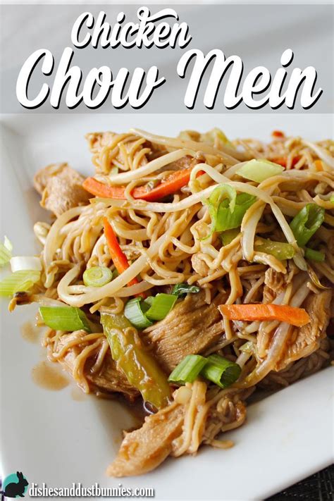 Saute chicken until water dries up and add red chili flakes and salt. Easy Chicken Chow Mein from dishesanddustbunnies.com ...