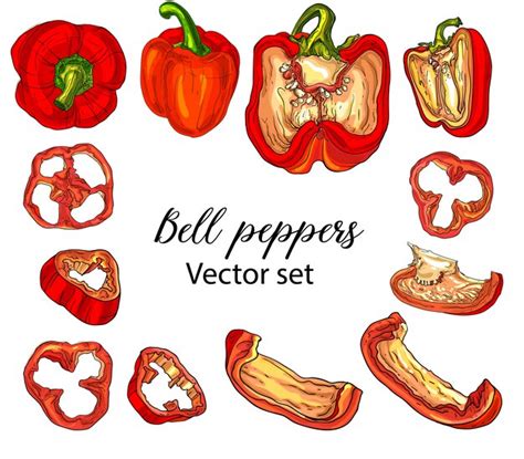 Premium Vector Bell Peppers Set