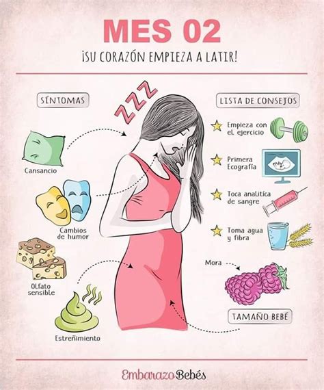 8 Ideas De Sintomas De Parto Embarazo Divertido Consejos Para El