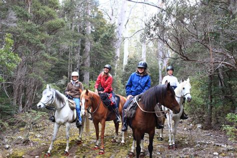 You may already know which regions and countries you are interested in. Tasmania, Australia - Globe Trotting | Horse Riding ...