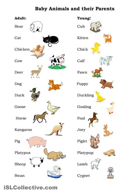 Pin on INGLÉS