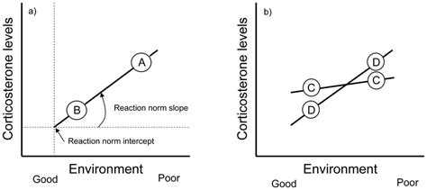 the concept of reaction norms reaction norms are the phenotypic download scientific diagram