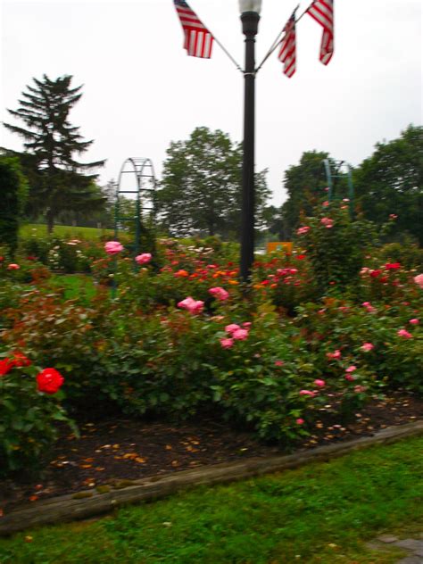 Discover the best state parks near syracuse, ny! Dr. E.M. Mills Rose Garden is located in Thornden Park ...