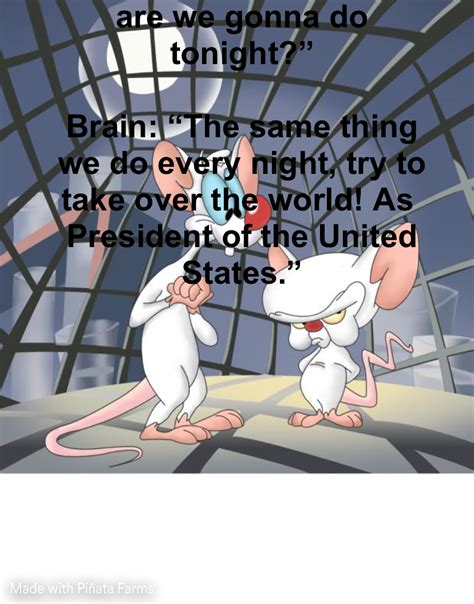 Pinky and the brain Memes Piñata Farms The best meme generator and