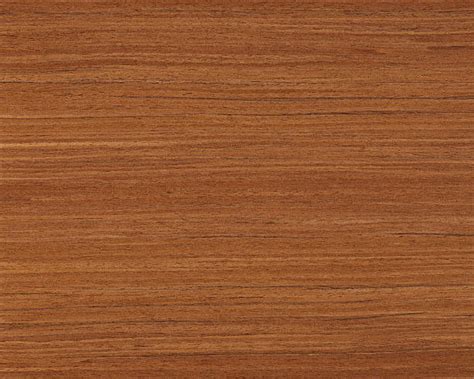 Teak Wood Pictures Images And Stock Photos Istock