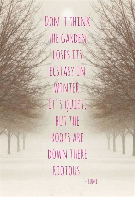 Ah The Roots Rumi Quotes Nature Quotes Yoga Quotes Inspirational