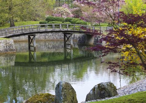 43 frisch japanischer garten leverkusen elegant. Japanischer Garten, Hasselt, Belgien Stockbild - Bild von ...