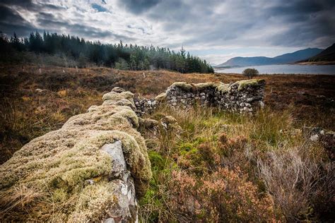 Réserve Naturelle De Mountainview Projet De Conservation Highland Titles
