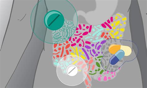 The Impact Of Drugs On Gut Microbes Is Greater Than We Thought Embl