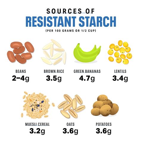the vital function resistant starch performs in weight loss health and fitness news