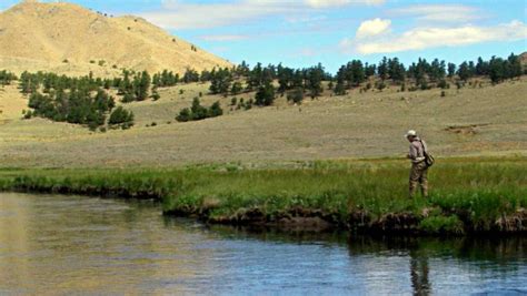 Where To Fly Fish On The South Platte River Co Maps Flies And More