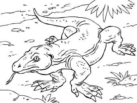 Coloring Pages Komodo Dragon 35 Best Komodo Dragon Coloring Pages