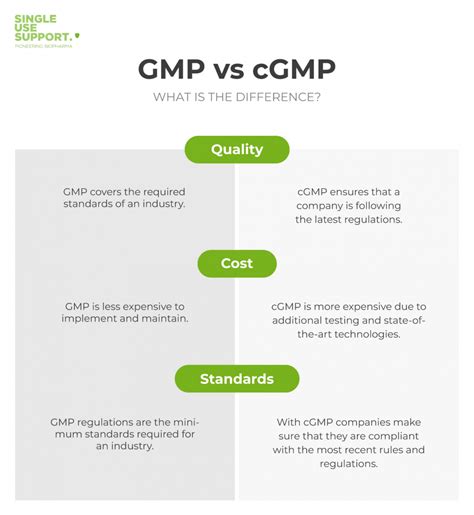 Cgmp Everything You Need To Know