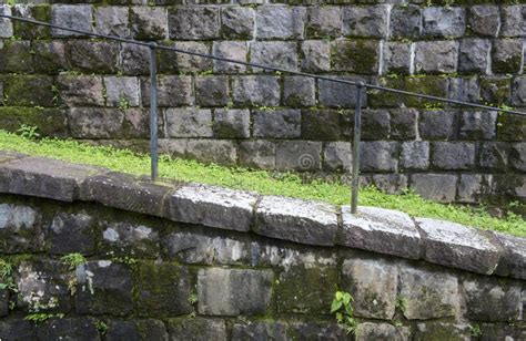 Weather and meteo conditions on sunday20junein moss. Old Weathered Wall With Moss Texture Background Stock ...