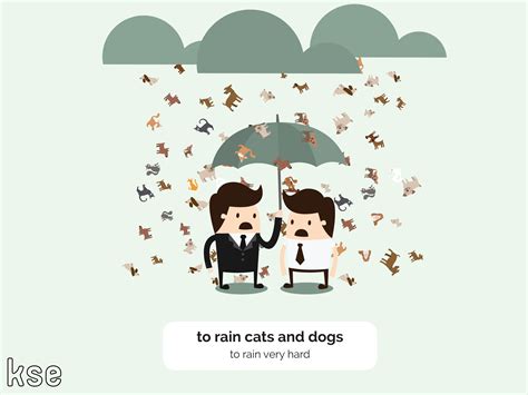 Some are funny, some are silly and some are just really confusing, like the raining cats and dogs idiom. 10 Weather Idioms You Need to Be Using | KSE Academy®
