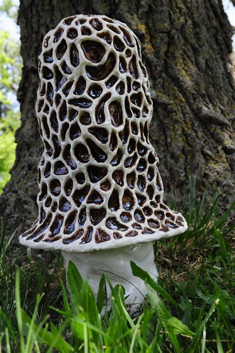 Morel Like Mushroom Sculpture Mushroom Hunting Morels Organic Form