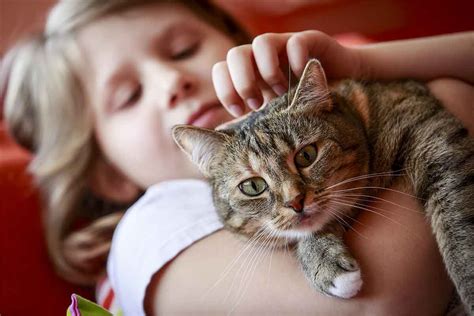 Cats And Kids Can They Be Best Friends Fear Free Happy Homes