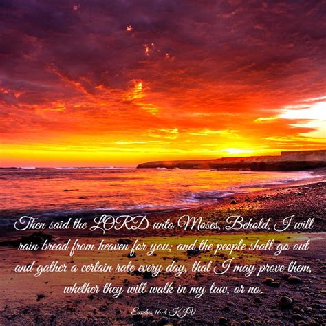 Exodus 164 Kjv Then Said The Lord Unto Moses Behold I Will