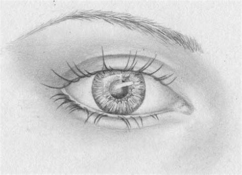 Hier gibt es coole beispiele sowohl für fortgeschrittene als auch für anfänger! Strahlende Augen, Pupille, Iris zeichnen lernen - Zeichenkurs