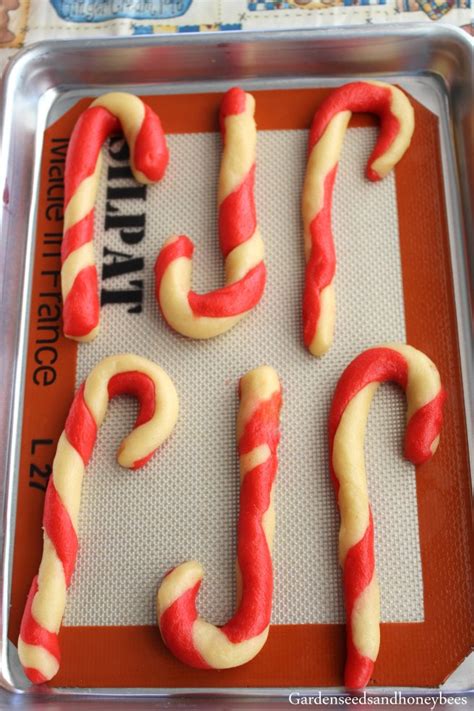Candy Cane Sugar Cookies Garden Seeds And Honey Bees