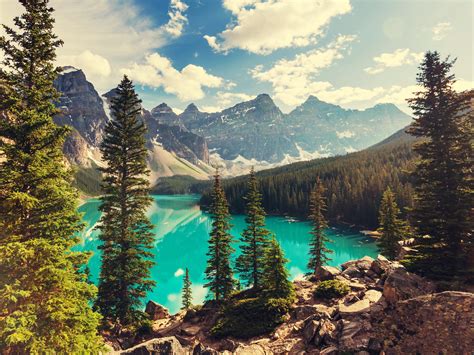 Fondos De Pantalla Parque Nacional Banff Lago Árboles Montañas