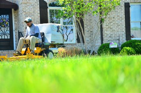 Diy Lawn Care Vs Hiring A Lawn Care Service Pros And Cons Of Both