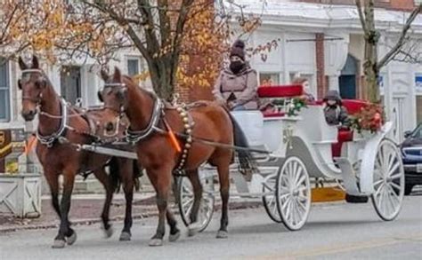 Horse Drawn Carriage Rides Coming To Downtown Easton On Valentines Day