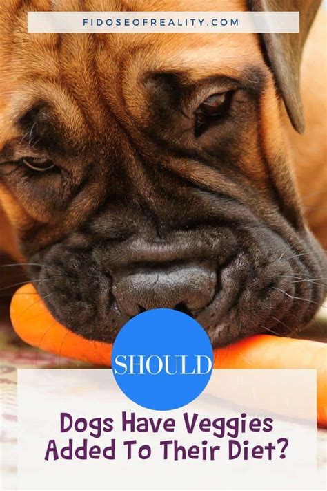 Shop your favorite recipes with grocery delivery or pickup at your local walmart. Should Dogs Have Vegetables Added To Their Diet? - Fidose ...
