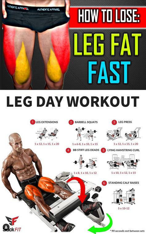 Leg Day Workout Guide
