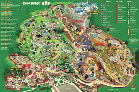San Diego Zoo Zoológico De San Diego San Diego Viagem Para A Califórnia