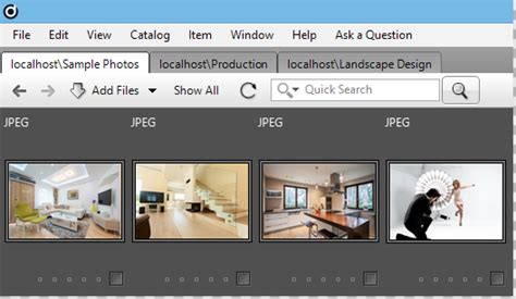 You can also watch this on youtube: Understanding Catalogs | Daminion 6 - Documentation