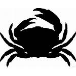 Crab Clipart Webstockreview