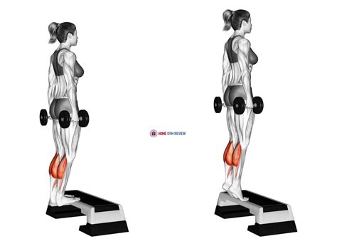 Dumbbell Standing Calf Raise Female Home Gym Review