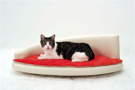 9 Luxury Cat Beds That Will Make Your Kitty Purr With Joy Thecatsite