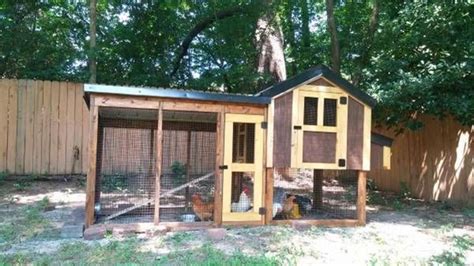 In this section, you will find news articles relevant to back yard poultry keeping. The Raleigh Durham Backyard Poultry Meetup Group (Raleigh ...