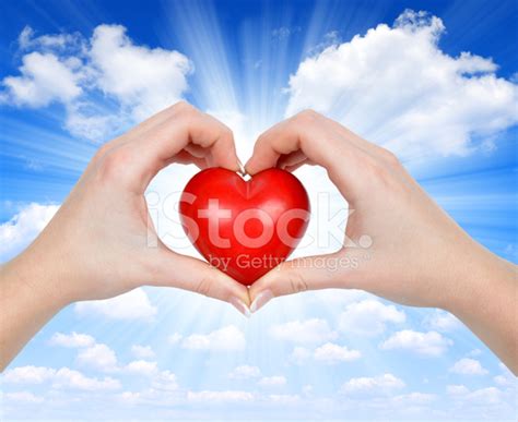 Heart In Hands Stock Photo Royalty Free Freeimages