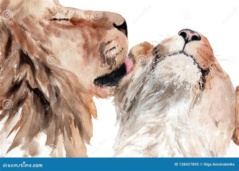 Watercolor Painting Lions Couple In Love Kiss The Lion Stock